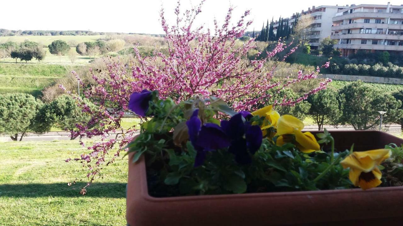 B&B Colline Verdi Vitinia Εξωτερικό φωτογραφία